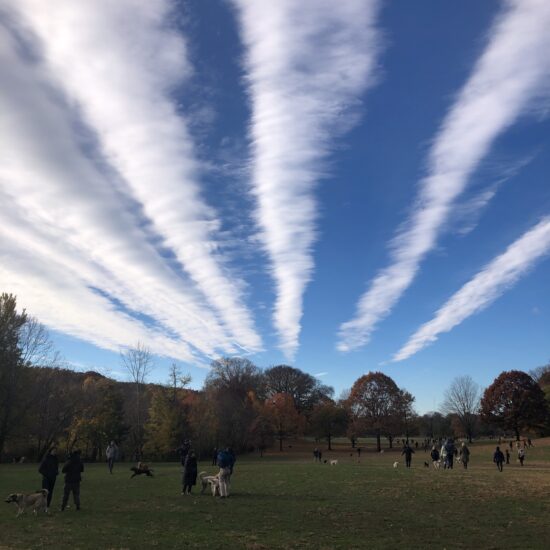 Undulatus Cloud Appreciation Society