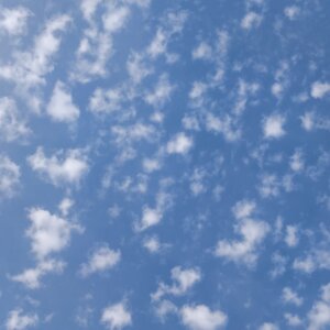 Matt Minshall avatar