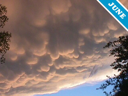 jun-mammatus-high.jpg