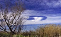 Hole Punch Cloud