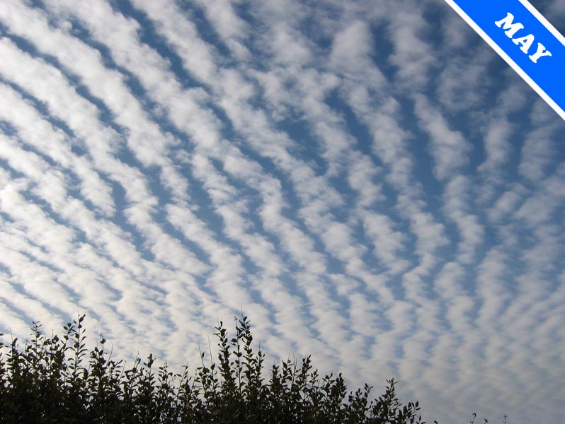 altocumulus-undulatus-may-07-cloud-appreciation-society