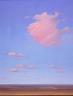 'Big Pink' 30ins x 24ins oil on canvas © Ann Scott, Boston, USA