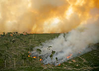 Amazon fires - photo: © Greenpeace
