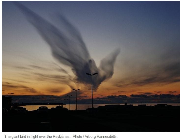 The giant bird in floght over the Reykjanes - Photo / Vilborg Hannesdóttir