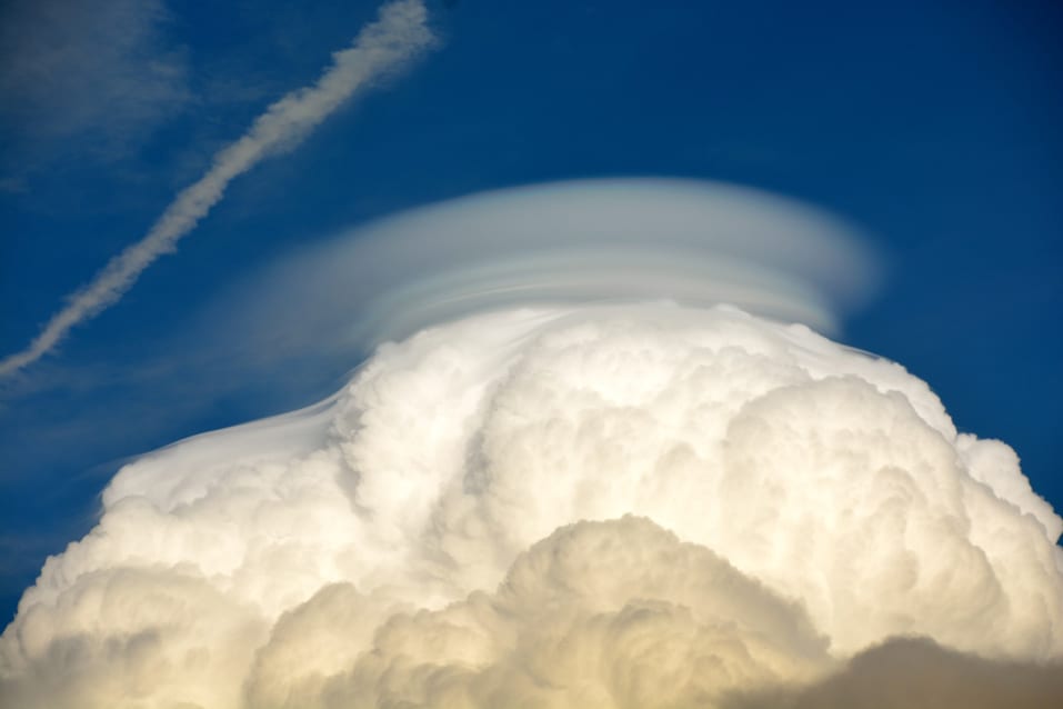 Cloud Appreciation Society | Sally Agnew