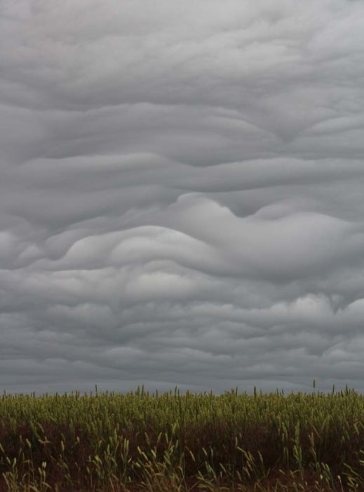 Asperitas clouds over north Dorset, UK.