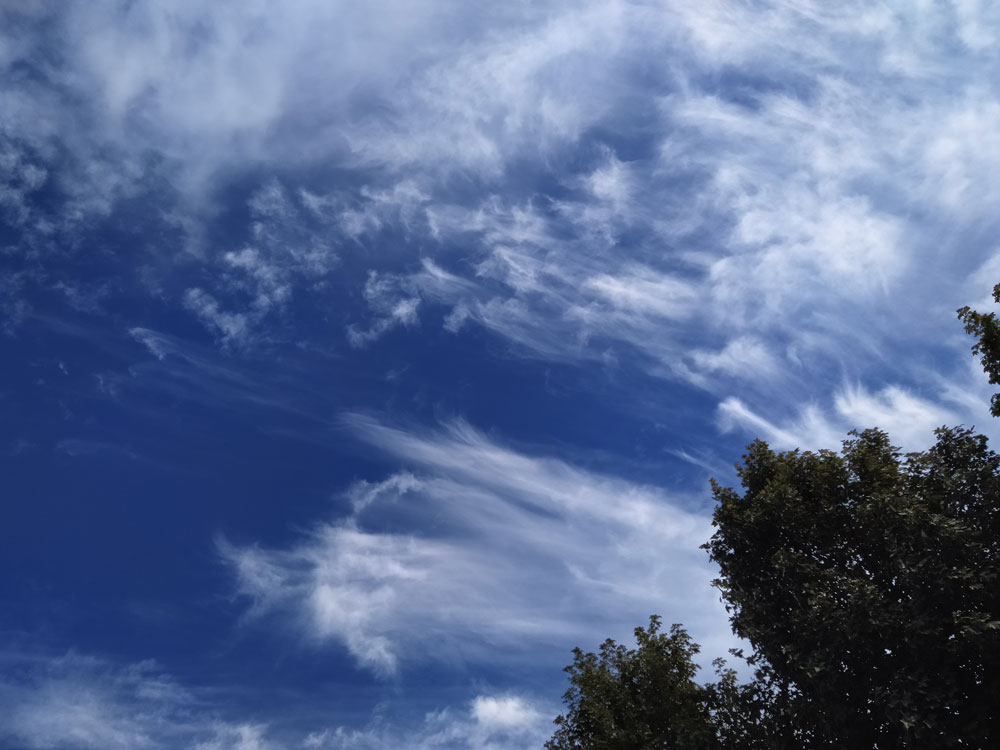 The Shape of the Clouds - Cloud Appreciation Society