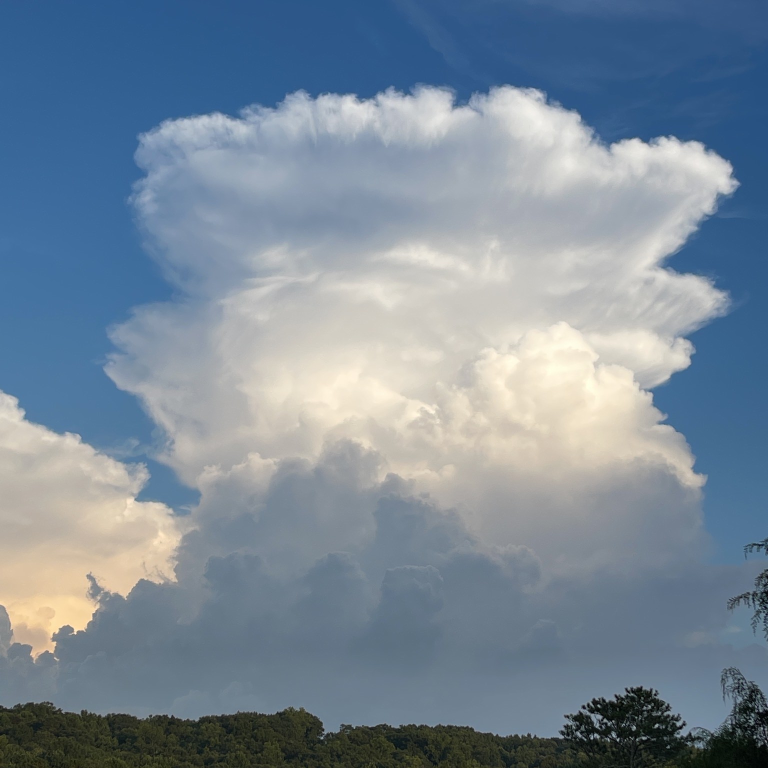 Ms1 cloud. Cloud Appreciation Society. Cloud Gallery. Как выглядит облако кумулонимбус опакус в ночное время суток. Cloud first.