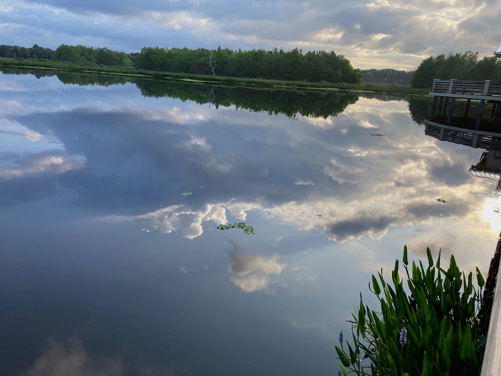 Photo Gallery - Cloud Appreciation Society