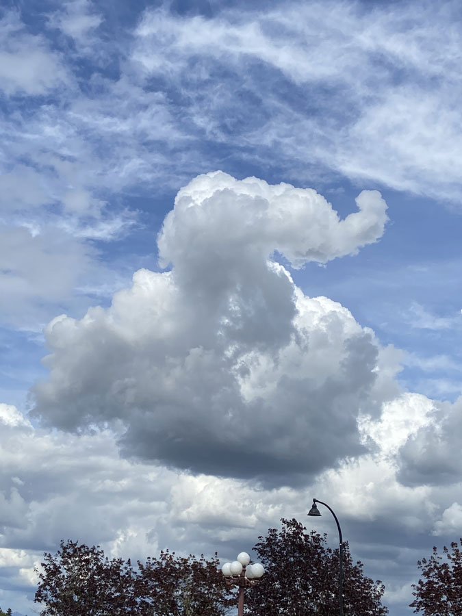 Photo Gallery - Cloud Appreciation Society