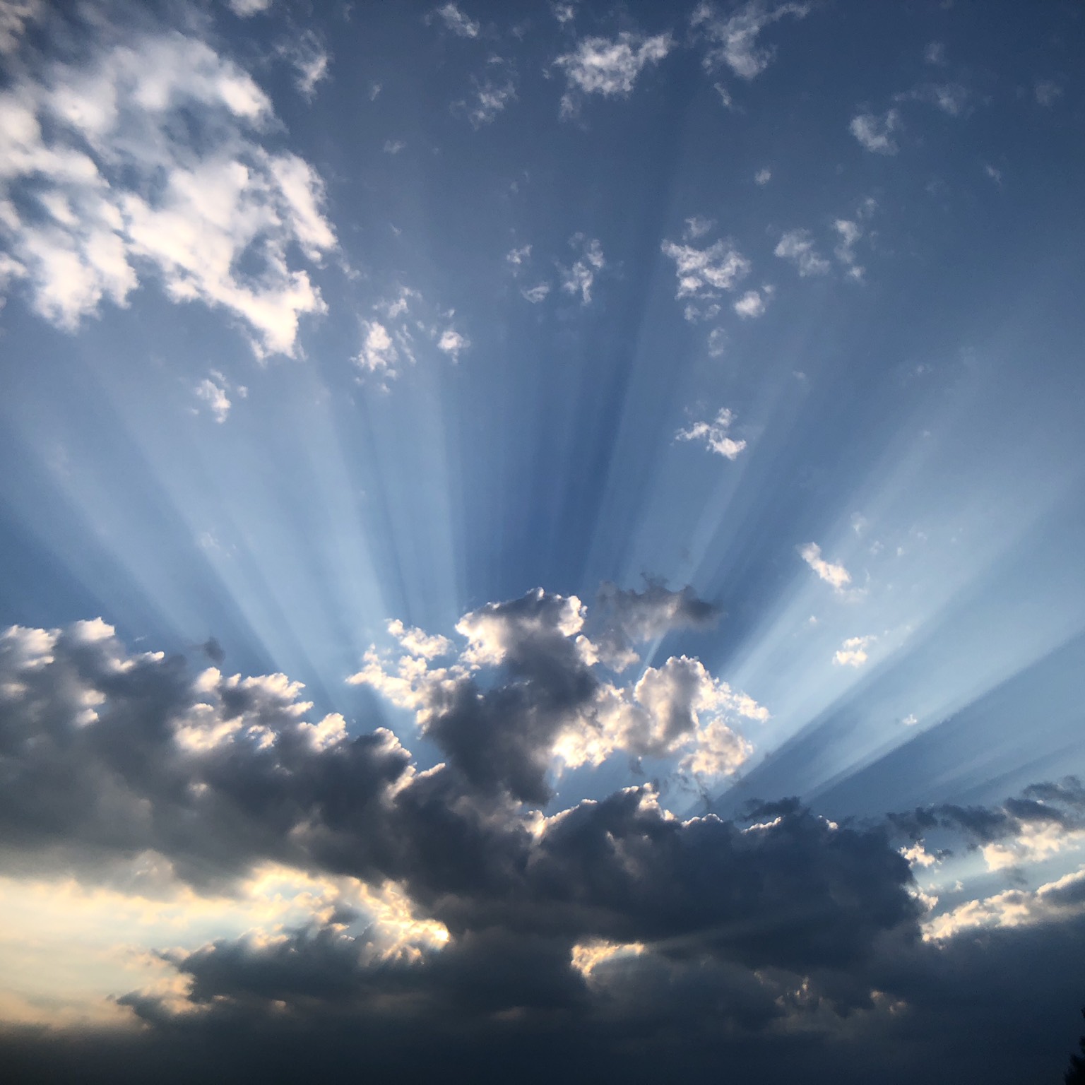 Crepuscular rays - Cloud Appreciation Society