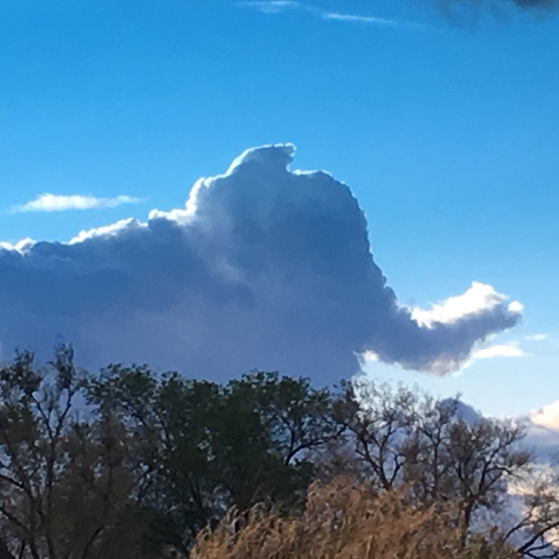 Cloud shaped like an elephant