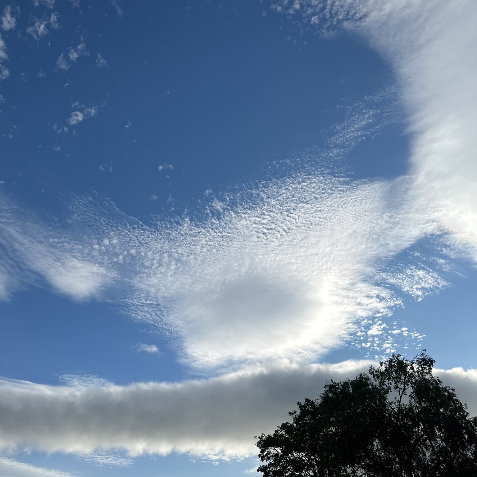 Photo Gallery - Cloud Appreciation Society