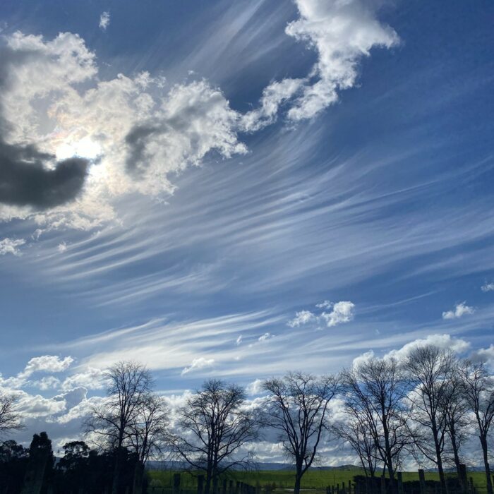 Fibratus over Yarra Glen, Australia