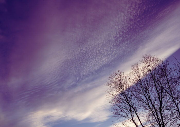 Cirrocumulus floccus undulatus during sunset over Vermontville, Adirondacks, New York, US