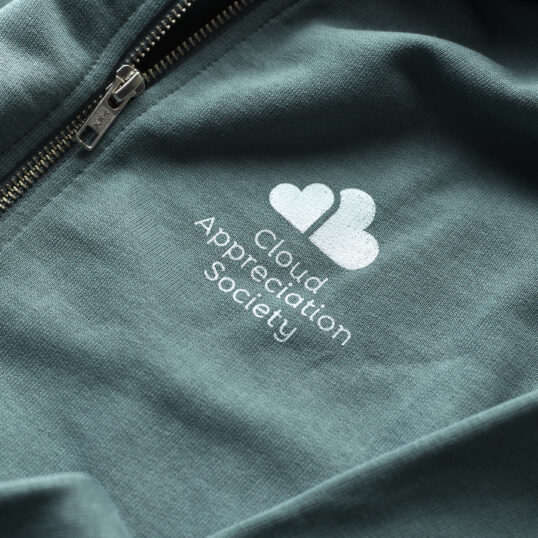 CAS Hoody in Green Bay with Pale Green Logo - Image 6