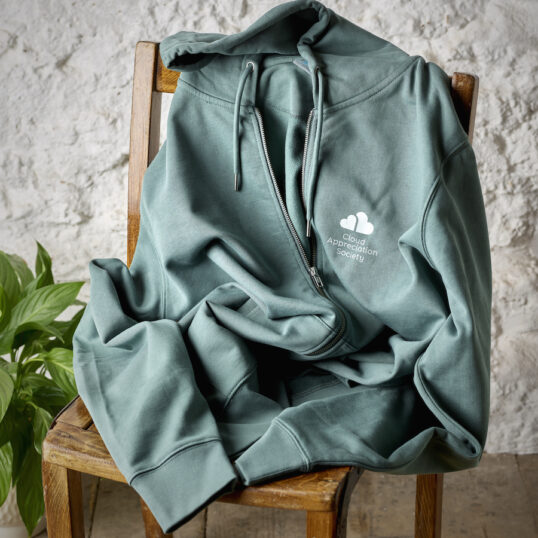 CAS Hoody in Green Bay with Pale Green Logo - Image 2