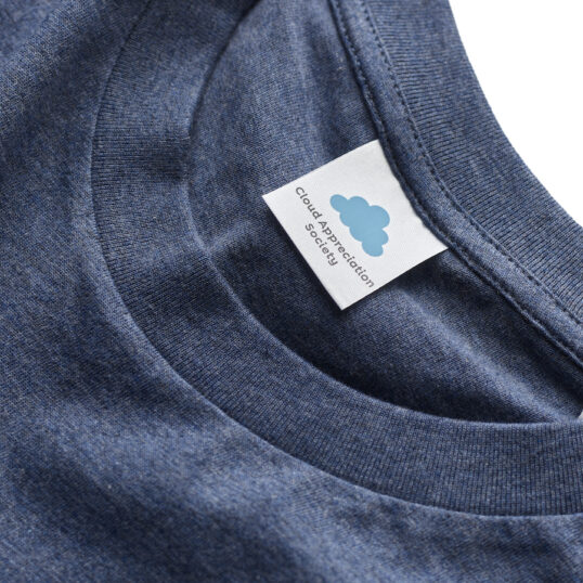 CAS T-Shirt in Dark Heather Blue with Pale Blue Logo - Image 2