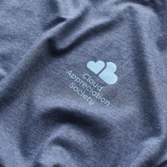 CAS T-Shirt in Dark Heather Blue with Pale Blue Logo - Image 3