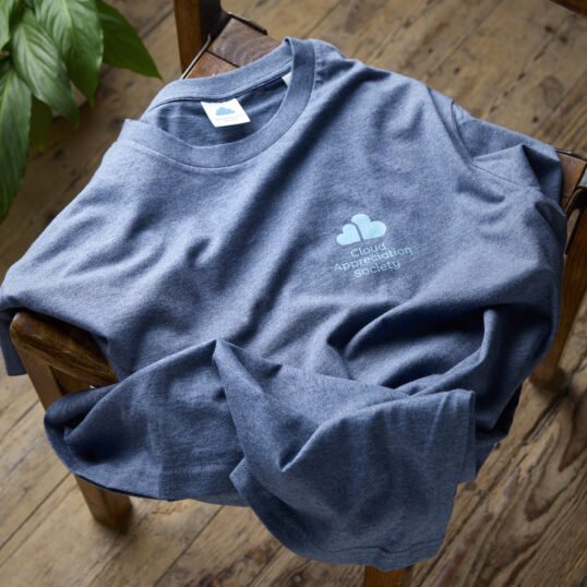 CAS T-Shirt in Dark Heather Blue with Pale Blue Logo - Image 4