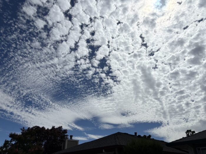 An expansive display of altocumulus over Santa Rosa, California, US