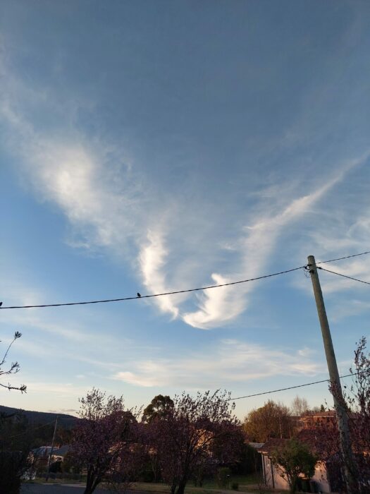 Within these cirrus clouds, Fran sees an angry orangutan in the sky over Cooma, New South Wales, Australia