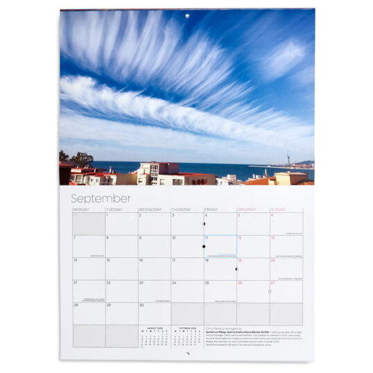 Cloud Calendar, 2026 - Image 10