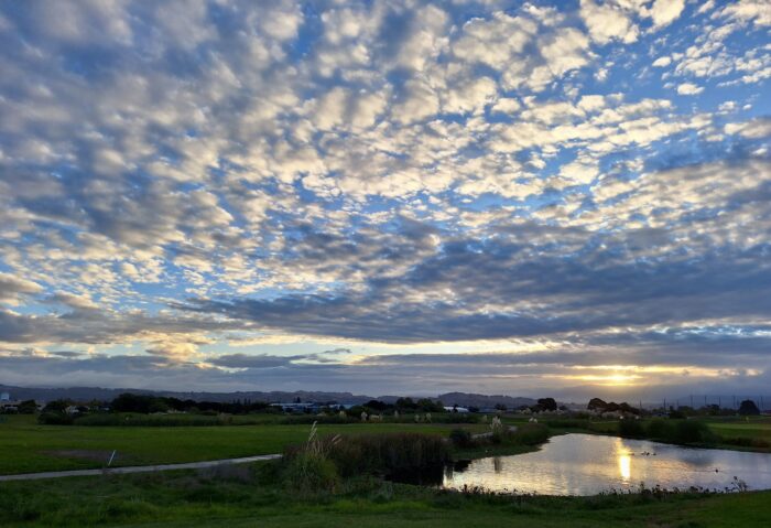Sunrise over San Leandro, California, US