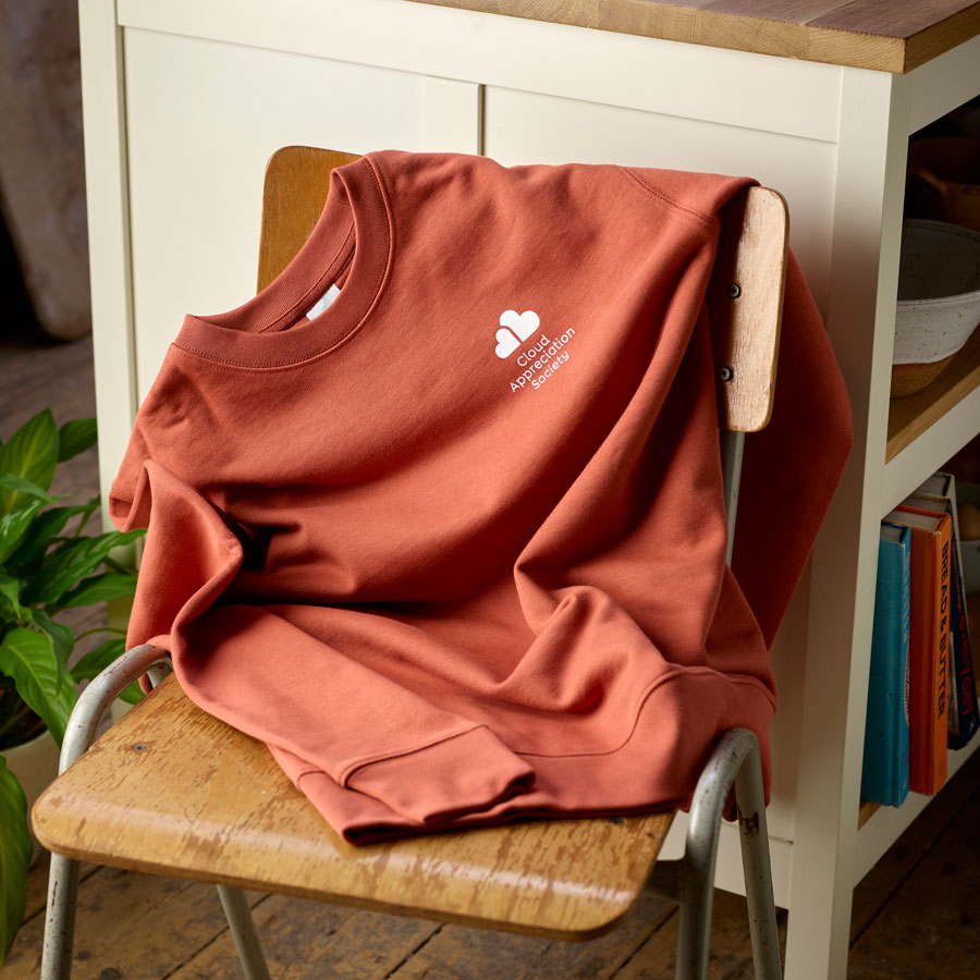 CAS Sweatshirt in Heritage Brown With Dove White Logo - Image 2