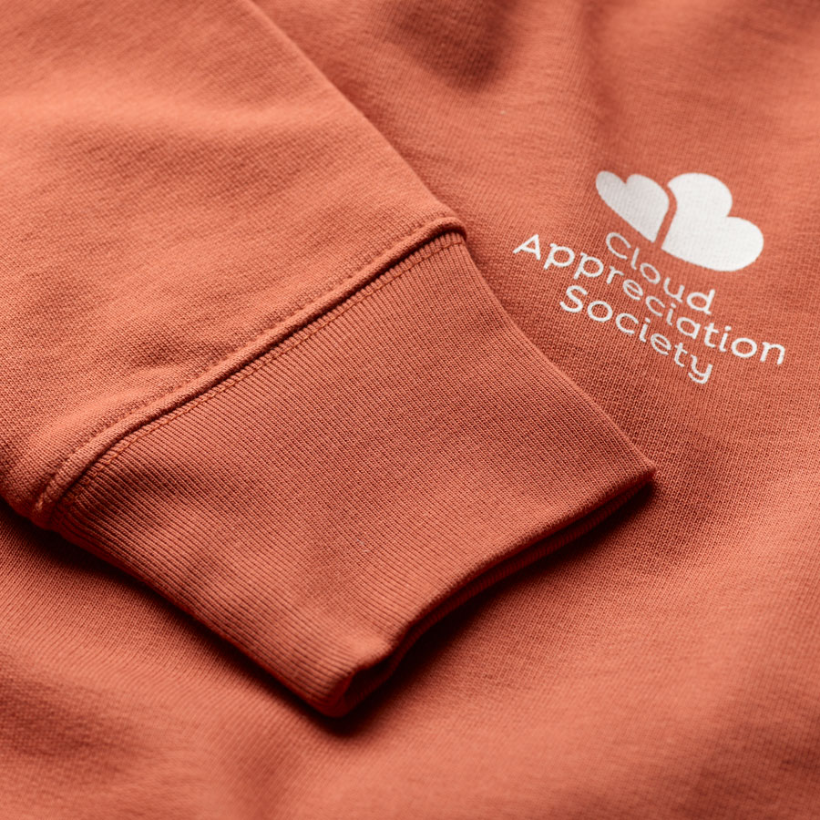 CAS Sweatshirt in Heritage Brown With Dove White Logo - Image 6