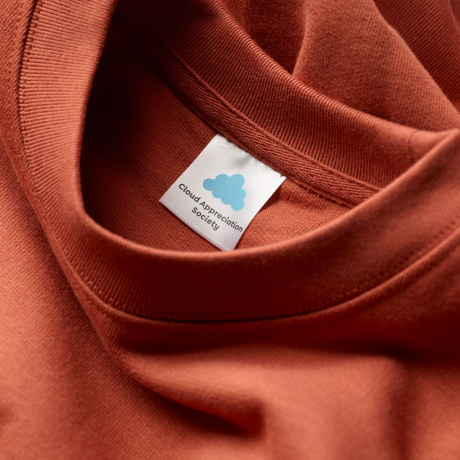 CAS Sweatshirt in Heritage Brown With Dove White Logo - Image 5