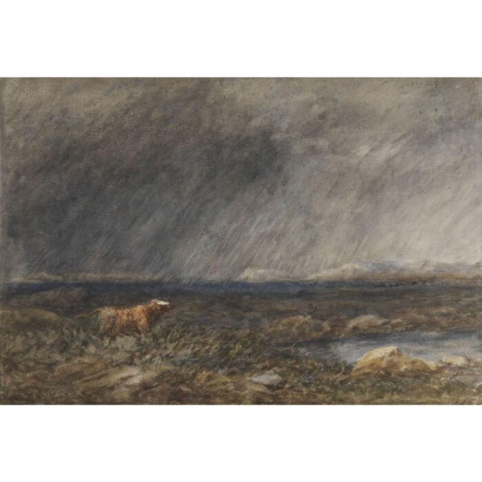 Cloud-a-Day image for Thursday 22nd January 2026