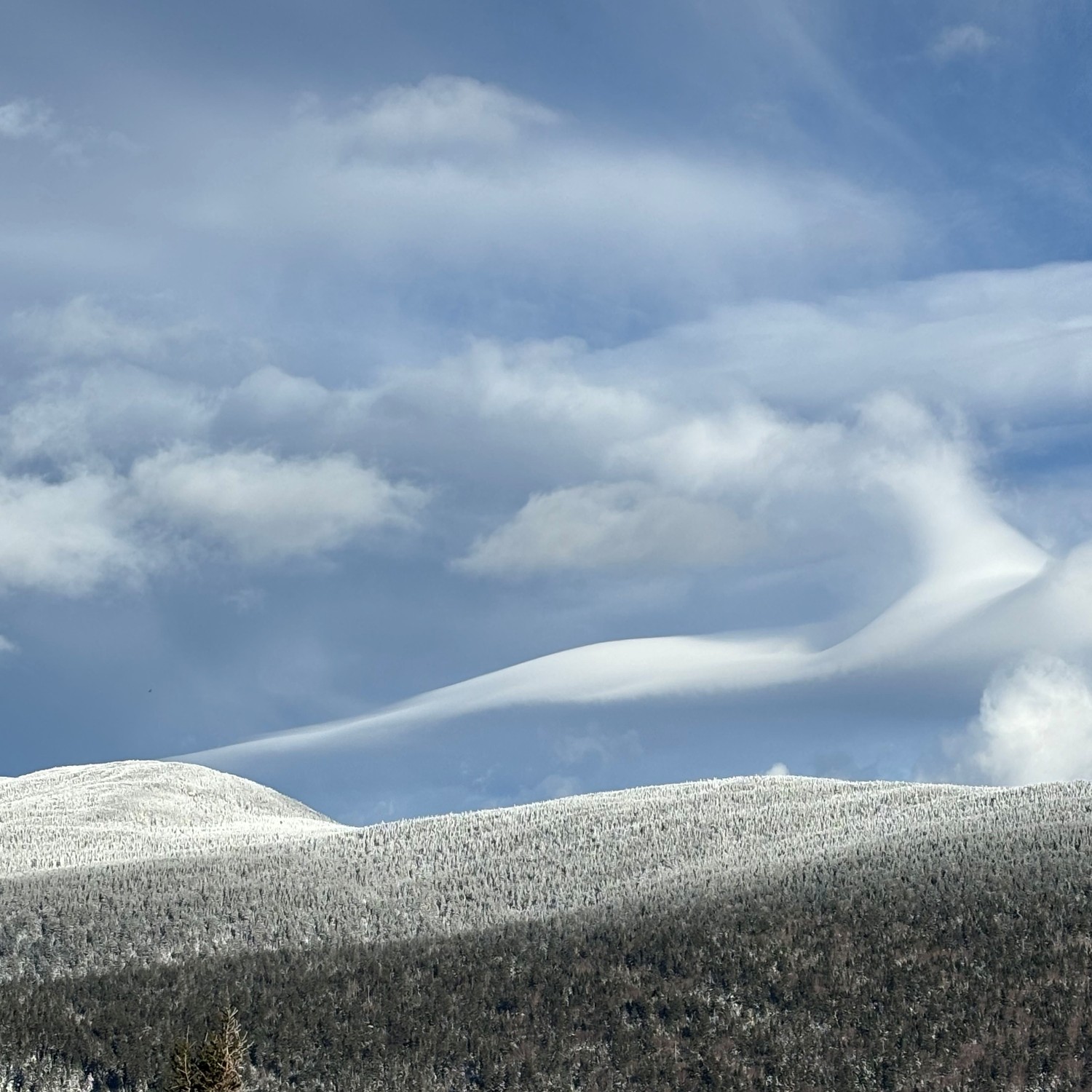 Cloud-a-Day image for Friday 16th January 2026