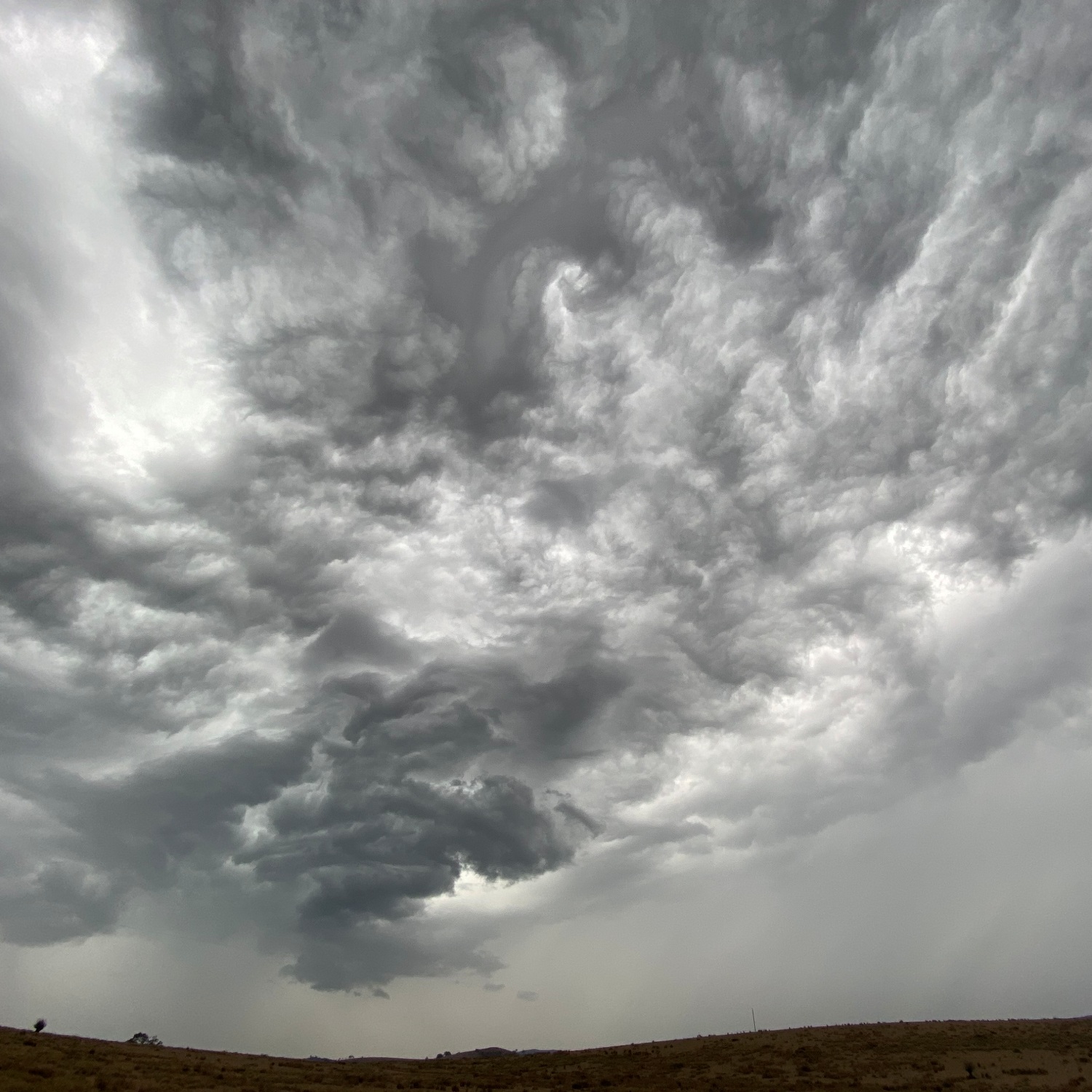 Cloud-a-Day image for Monday 19th January 2026