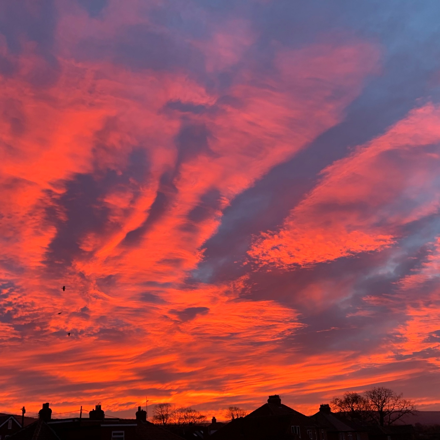 Cloud-a-Day image for Saturday 24th January 2026