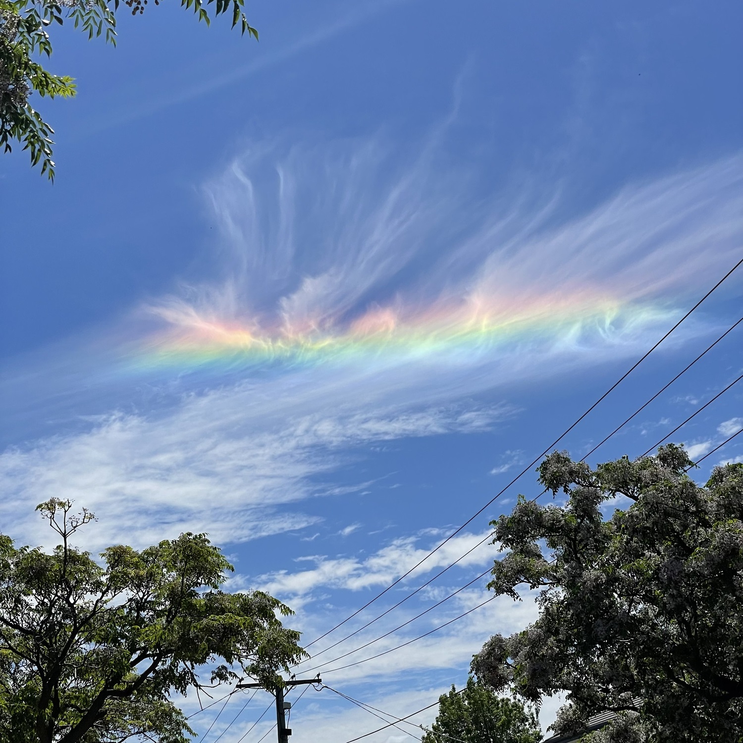 Cloud-a-Day image for Thursday 15th January 2026