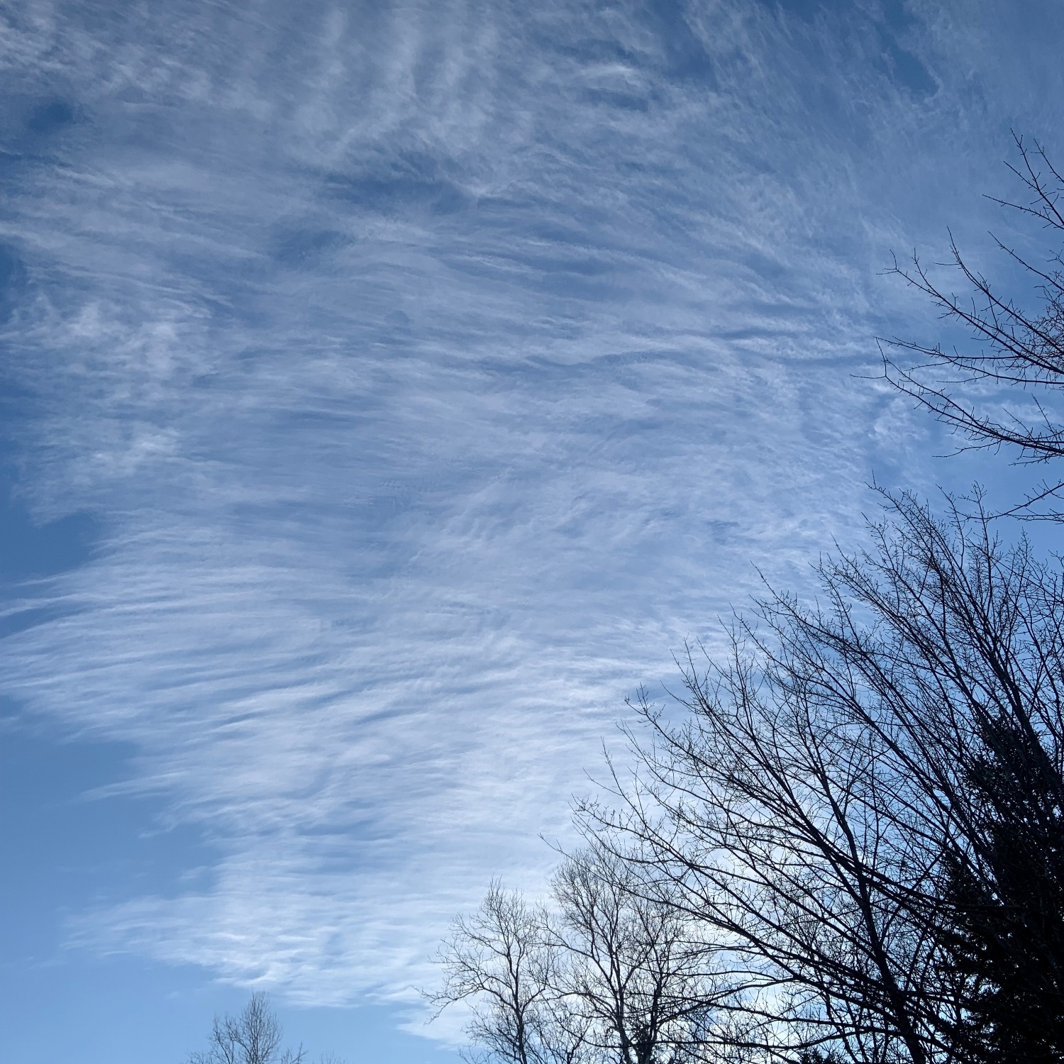 Cloud-a-Day image for Sunday 25th January 2026