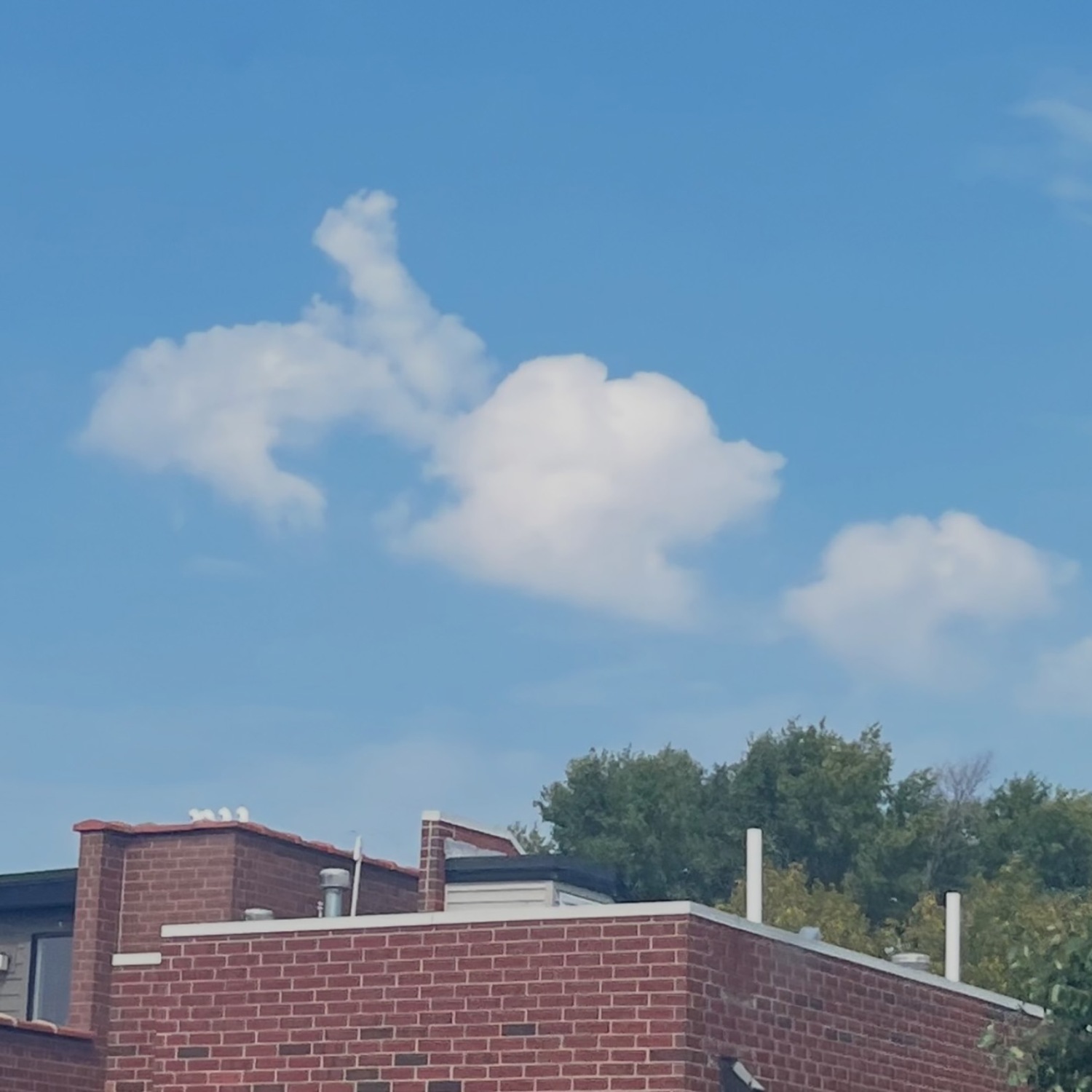 Cloud-a-Day image for Wednesday 21st January 2026