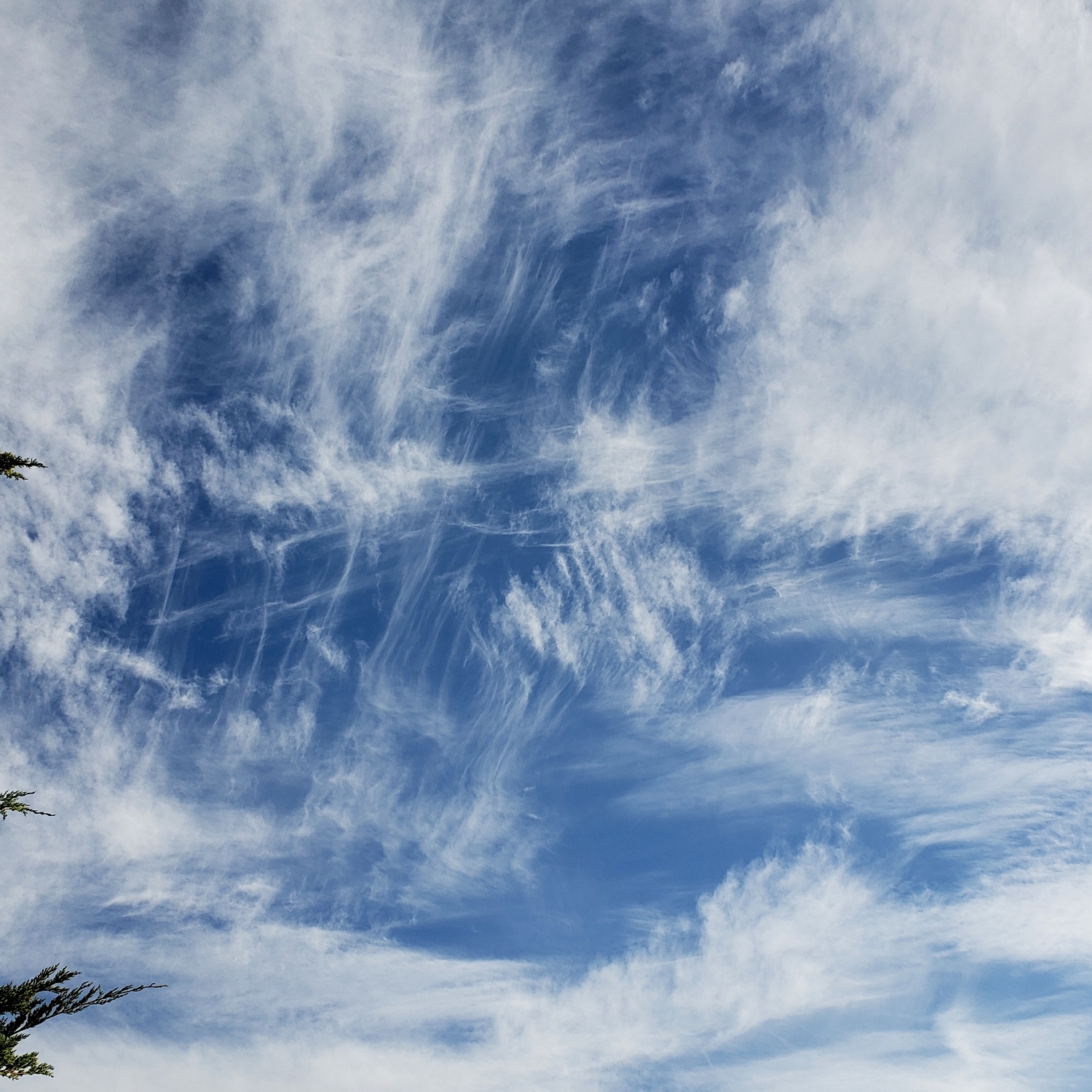 Cloud-a-Day image for Monday 9th February 2026