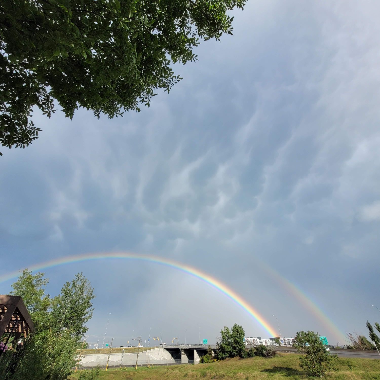 Cloud-a-Day image for Wednesday 18th February 2026