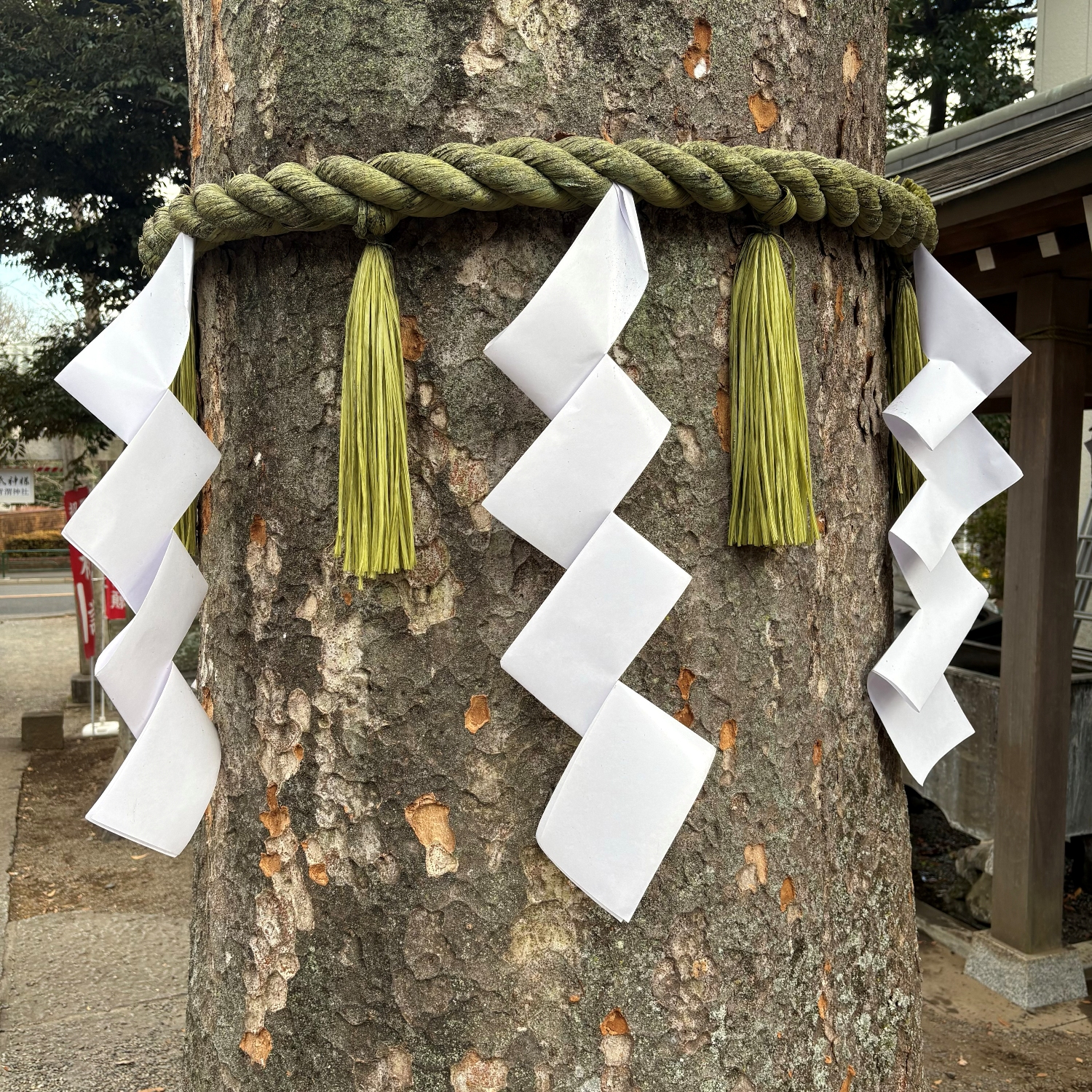 Cloud-a-Day image for Wednesday 11th February 2026