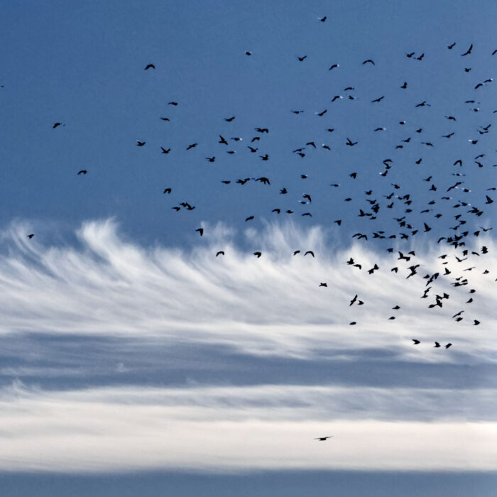 Cloud-a-Day image for Wednesday 25th February 2026