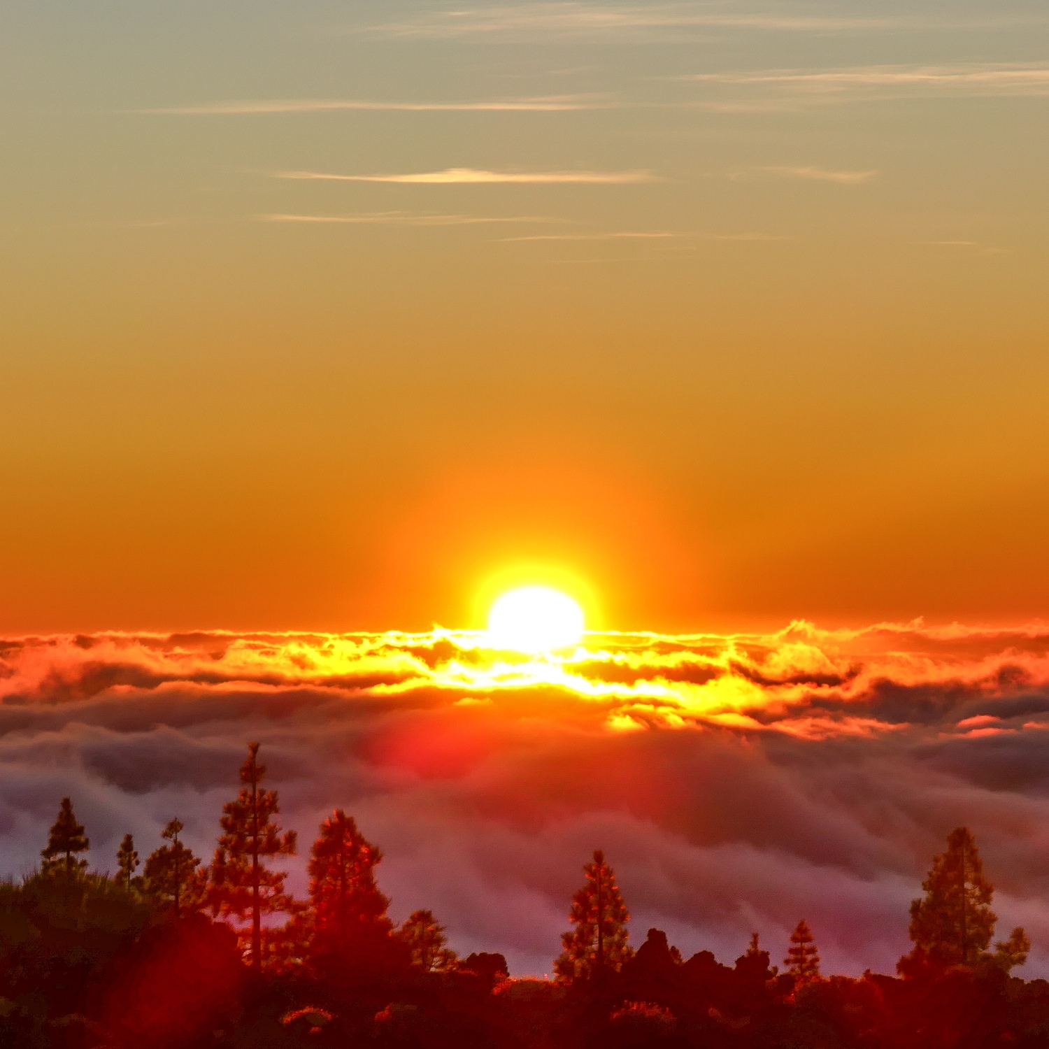 Cloud-a-Day image for Wednesday 11th March 2026