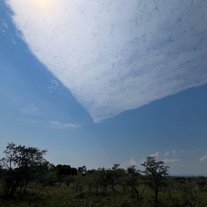 Cloud-a-Day image for Monday 16th March 2026