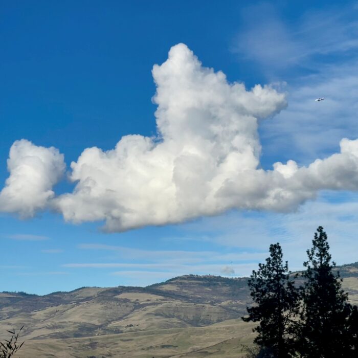 Cloud-a-Day image for Saturday 14th March 2026