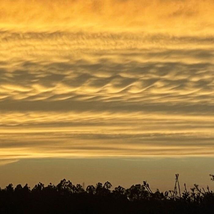 Cloud-a-Day image for Tuesday 21st April 2026