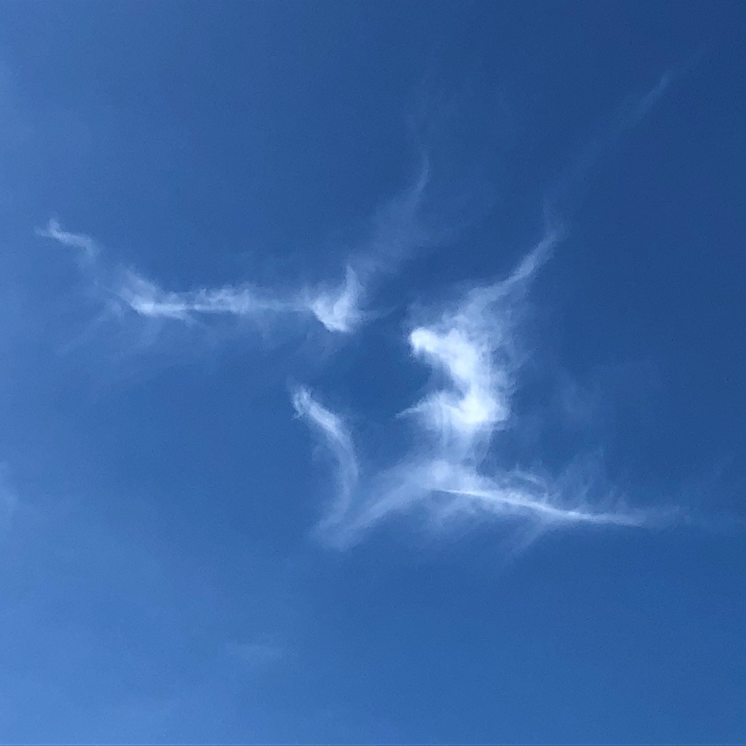 Cloud-a-Day image for Thursday 21st May 2026