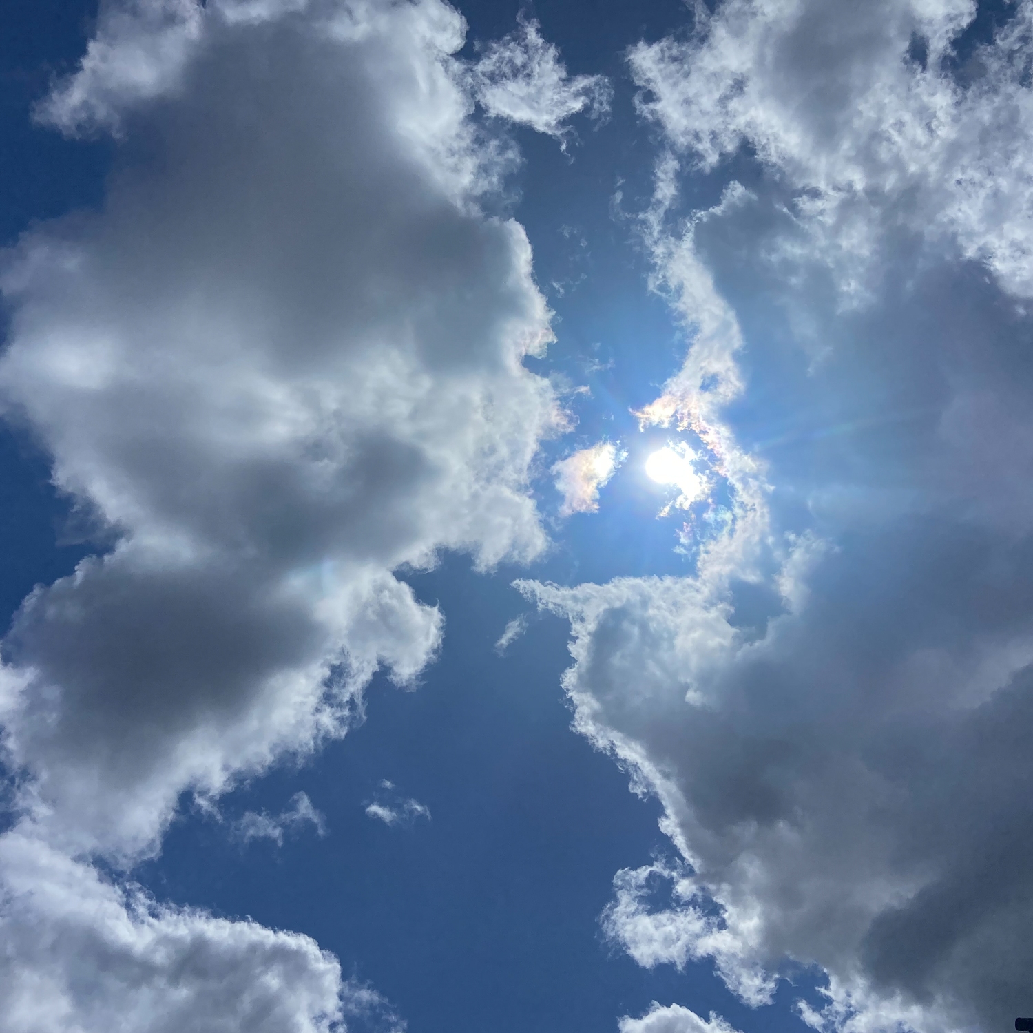 Cloud-a-Day image for Monday 8th June 2026