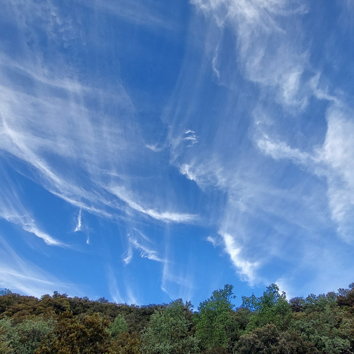 Cloud-a-Day image for Tuesday 30th June 2026