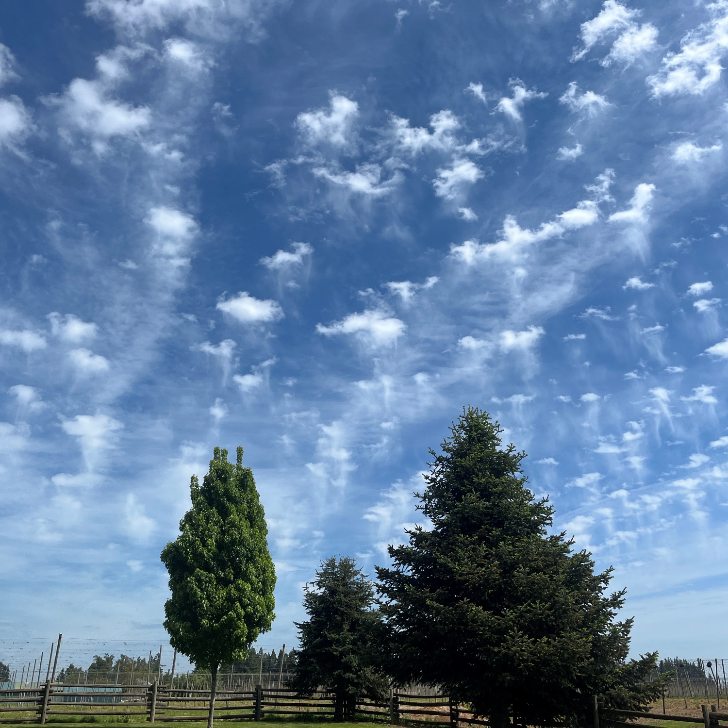 Cloud-a-Day image for Tuesday 23rd June 2026